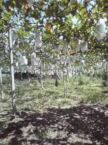 YUUNA BLOG-120826_1046~01.jpg