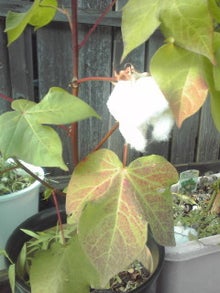 YUUNA BLOG-120831_1631~01.jpg