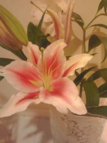 YUUNA BLOG-121029_1651~01.jpg