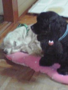 YUUNA BLOG-121112_2229~03.jpg