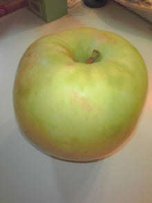 YUUNA BLOG-121122_1715~01.jpg