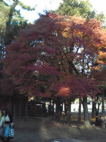 YUUNA BLOG-121125_1604~01.jpg