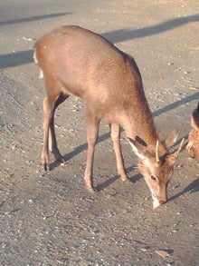 YUUNA BLOG-121125_1601~01.jpg