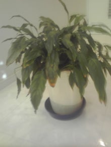 YUUNA BLOG-121203_1406~01.jpg