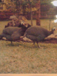 YUUNA BLOG-121209_1957~01.jpg