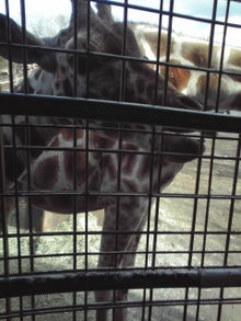 YUUNA BLOG-121210_1300~01.jpg