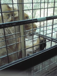 YUUNA BLOG-121210_1238~01.jpg