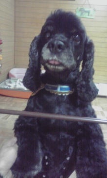 YUUNA BLOG-121219_2359~01.jpg