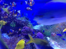 YUUNA BLOG-image.jpeg