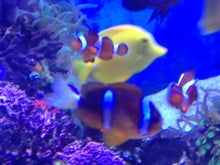 YUUNA BLOG-image.jpeg