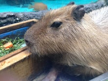 YUUNA BLOG-image.jpeg