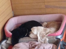 お友達とランチ