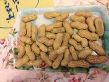 YUUNA BLOG-image.jpeg