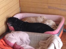 慌ただしい　一日