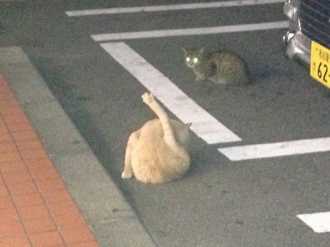 お誕生日   Part3３