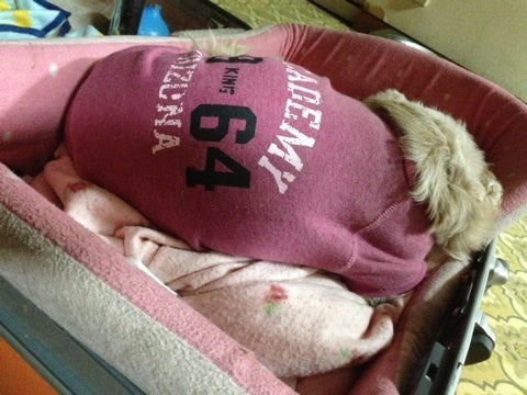 お客様とランチ