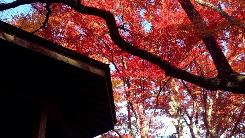 またまた香嵐渓