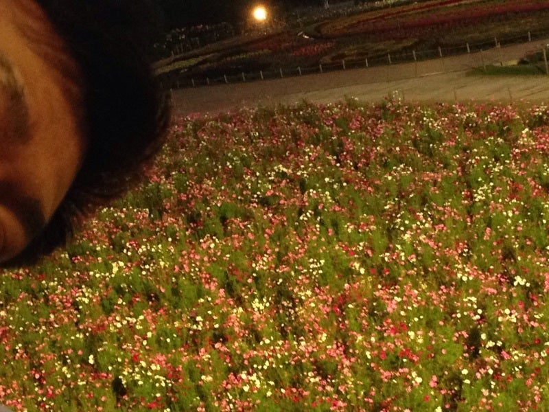 またまたなばなの里