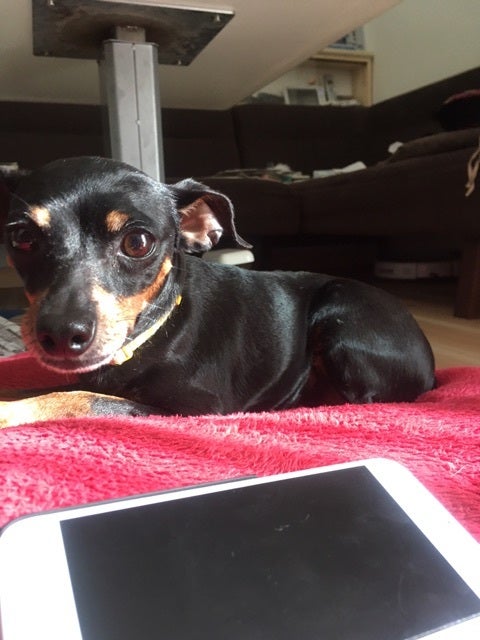 {42921D51-A7EA-4B8E-B956-1D30E85D0227}