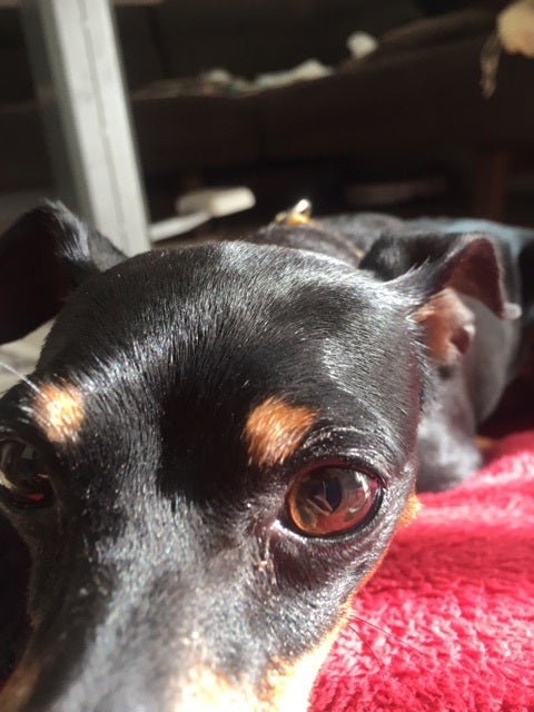 {A674787E-6DCA-4874-BEF2-F5D6ED47327F}