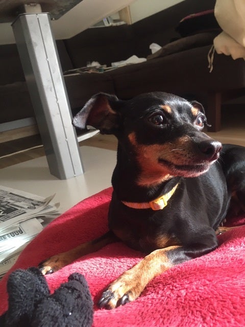 {F5AA299B-0505-427C-BA89-41ABC6CBB0E9}