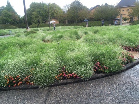 {8AA98054-A0B4-40FD-8BF6-A1453B88F91B}