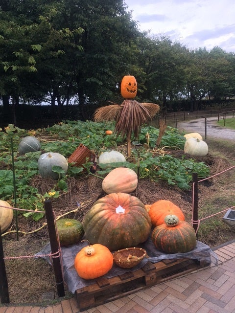 {6E183E79-D3B2-4E41-9812-E2AFE8C9B2A8}