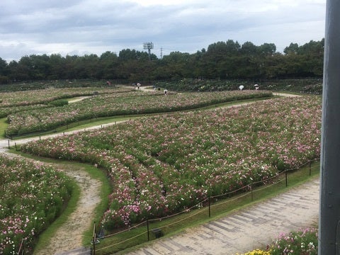 {FA9731CB-E0F2-4D98-A5C1-F9EED5371718}