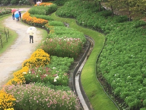 {305990C9-FF59-4C6B-B2FC-84D3E0761159}