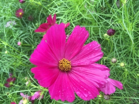 {13AAF735-3139-40FF-9BFB-9ACED0C68BE2}