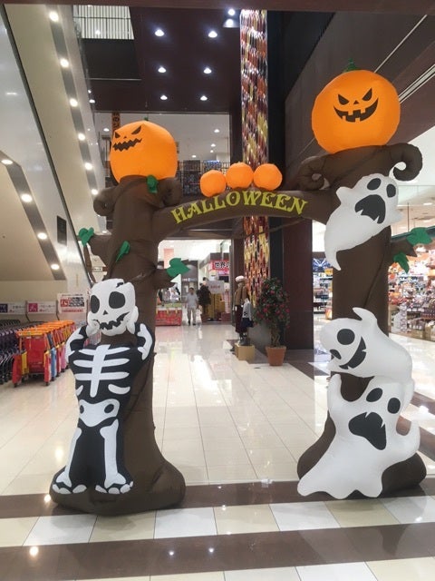 {E4264CE6-BDDD-4DF6-92C9-3225F501BA00}