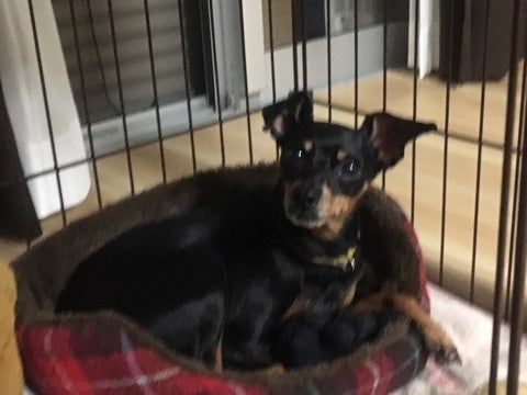 {B261B6CA-E775-460D-B3A4-61022BC80F40}