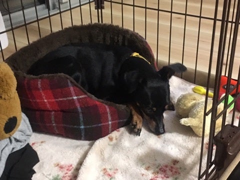 {66CF3A2F-C681-4F03-9D56-CDA05287231A}