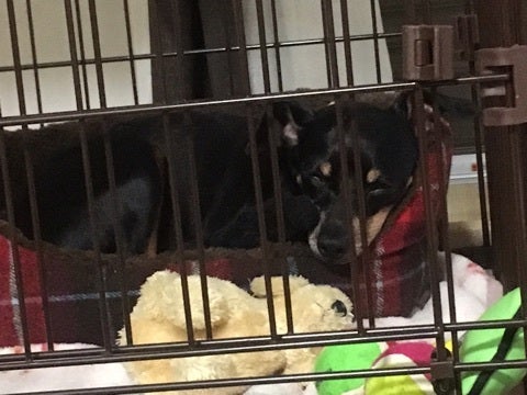 {458D1E21-E4E3-477F-9C68-F2FD19DA85FD}