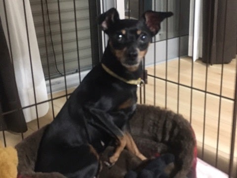 {ED407ACE-5F7D-4D82-A0F6-ACDECAF1AB3E}