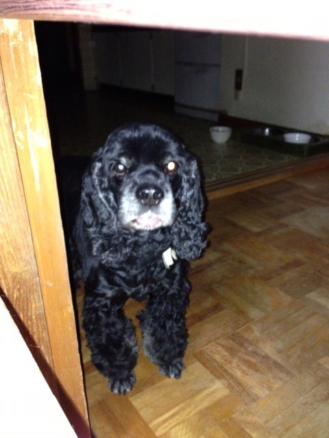 {28A55B17-7864-45DC-AB02-41A10241E8A3}