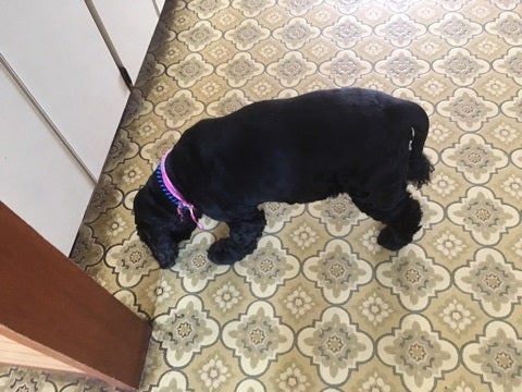 {3D53DA6C-D985-4858-B619-FF1CA7FACA3A}