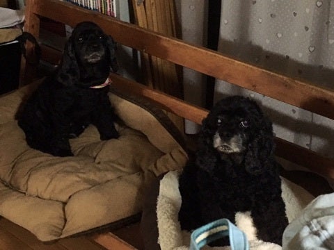 {CC2FC5F7-9B72-4DDB-A46F-9C94ACACD089}