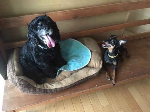 {A8B04522-90BA-4E0F-A894-5955DD6C7561}