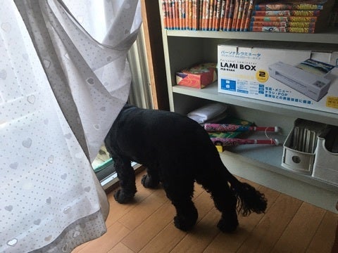 {FEC6D40E-7C3E-414A-8DCF-53681FC607AE}