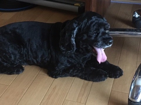 {91B6D6A3-9A31-4882-B98E-0168F7B4D099}