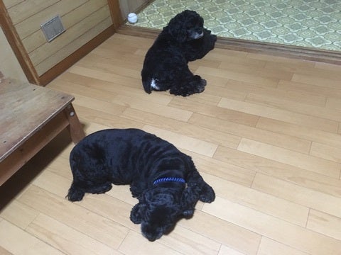 {499E7664-F55A-4E68-A5BE-03C7EBFCDA92}