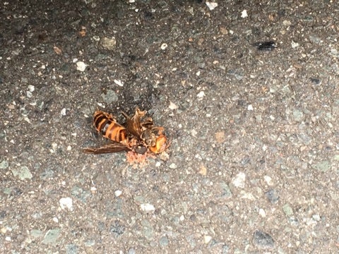 {09D6D428-B2FC-4B7B-B490-DB1439E6A835}