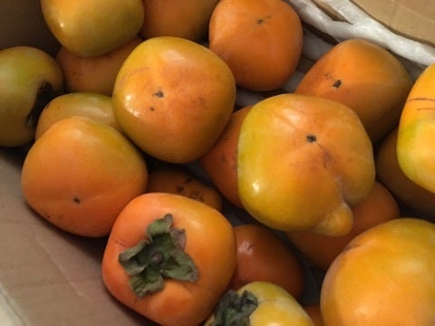 {D445AAC6-9756-4FEE-B58D-DDF78326F727}