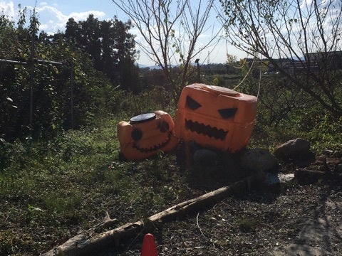 {DDCCDFA0-36B4-4457-A217-B705C59ECD06}