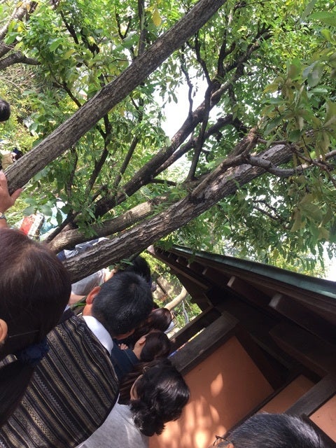 {C0C8C4C8-B50B-4310-A560-5D577E275C60}