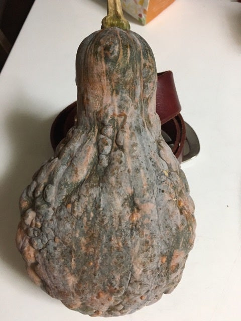 {C4F2561B-7ED6-4658-8A96-F57D41662332}