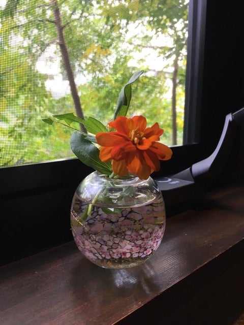 {0D1E3B07-36DA-4705-927E-92FD89D39203}