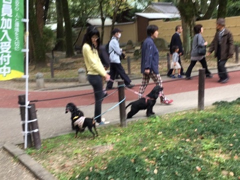 {20EF561B-D3D9-498B-A14D-32CD31E45DA6}