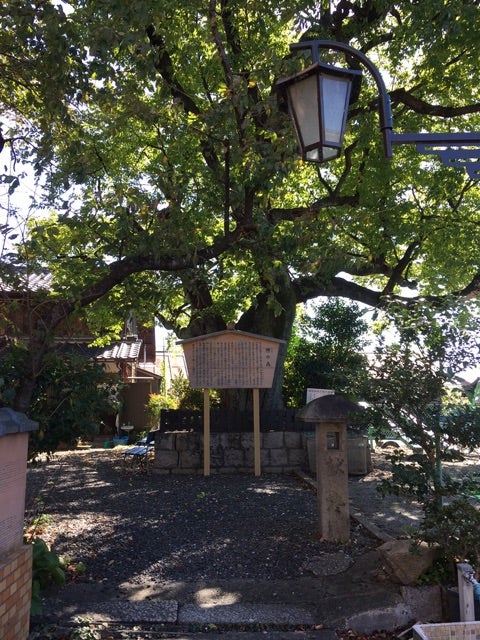 {7659A933-0D6D-40FE-8842-A8A004F34447}